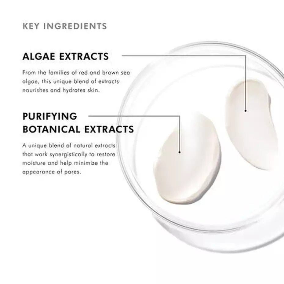 SkinCeuticals Daily Moisture key ingredients including algae and botanical extracts